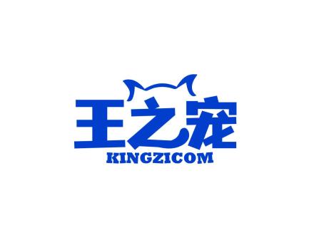 王之寵 KINGZICOM