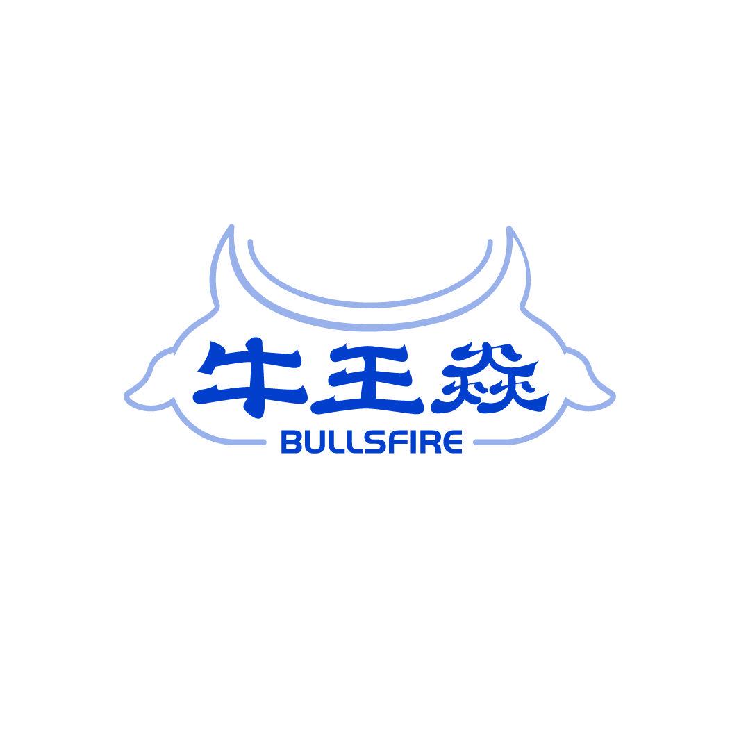 牛王焱 BULLSFIRE