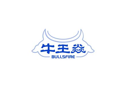 牛王焱 BULLSFIRE