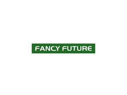 FANCY FUTURE