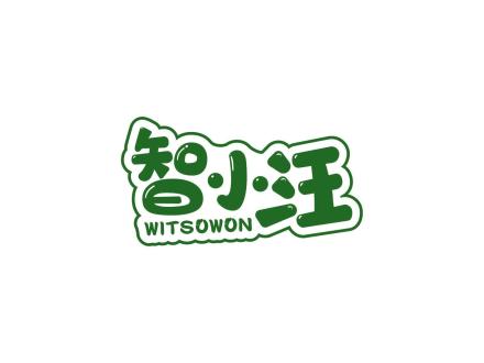 智小汪 WITSOWON