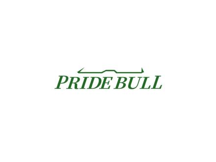 PRIDE BULL