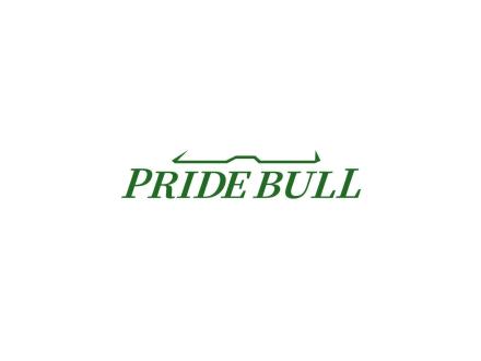 PRIDE BULL