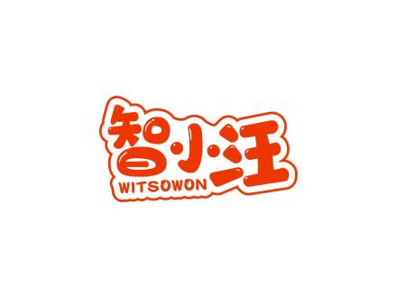 智小汪 WITSOWON