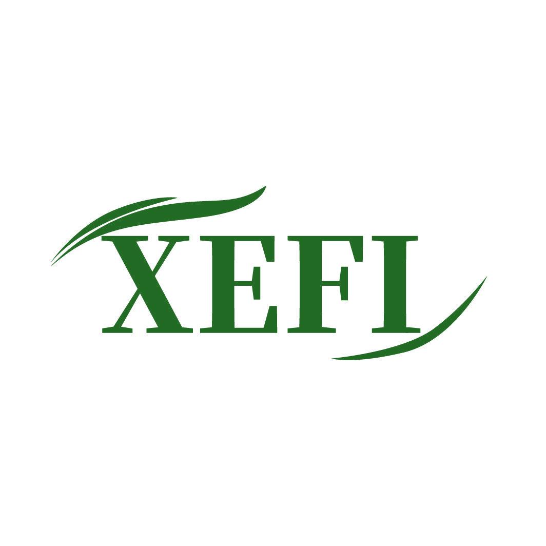 XEFI