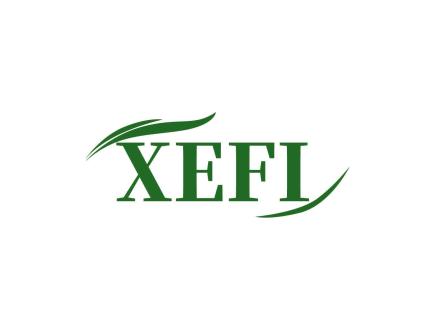 XEFI