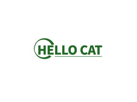 HELLO CAT