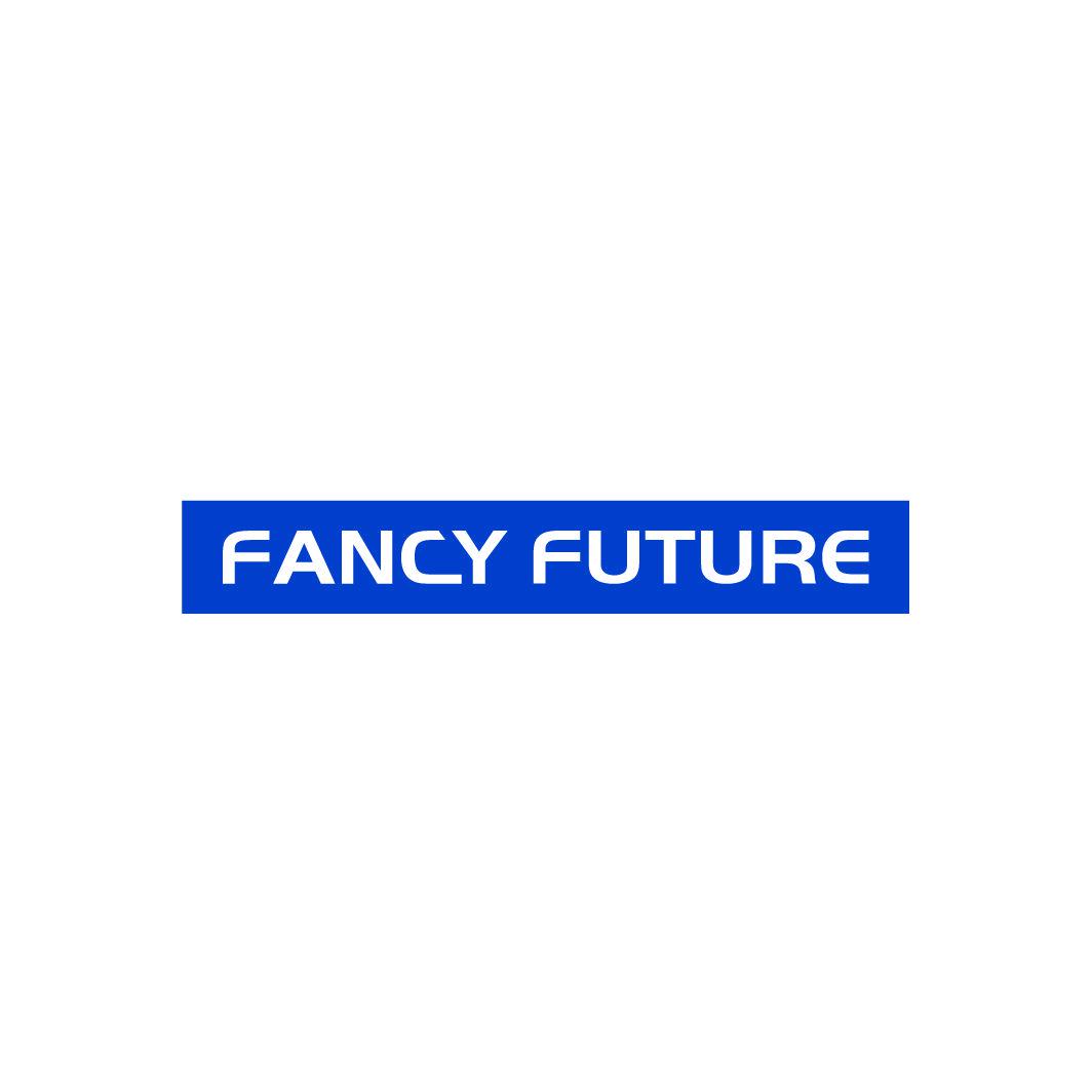 FANCY FUTURE