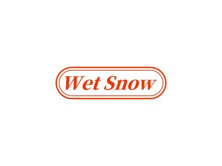 WET SNOW