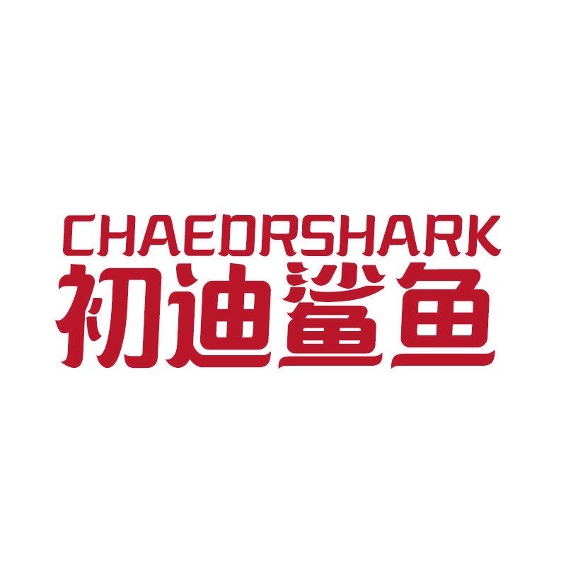 CHAEDRSHARK 初迪鯊魚