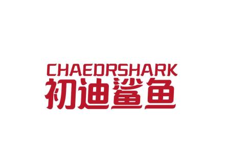 CHAEDRSHARK 初迪鯊魚