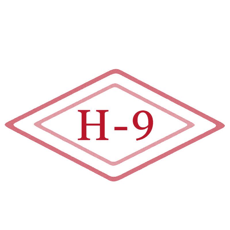 H9