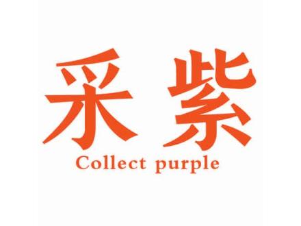 采紫 COLLECT PURPLE