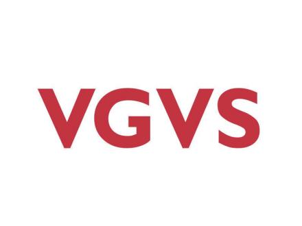 VGVS