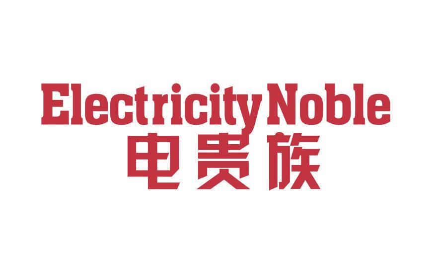 電貴族 ELECTRICITY NOBLE