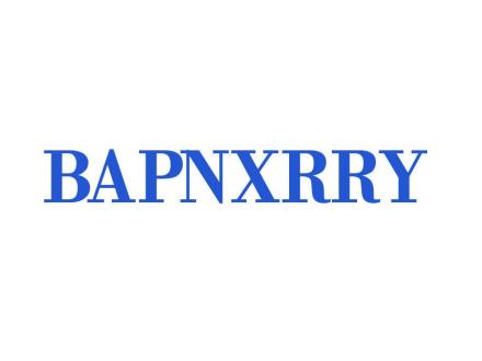 BAPNXRRY