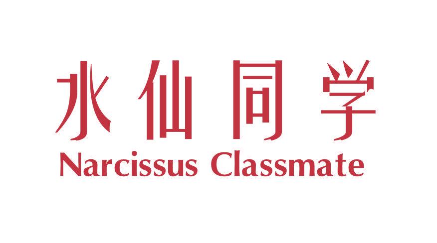 水仙同學(xué) NARCISSUS CLASSMATE