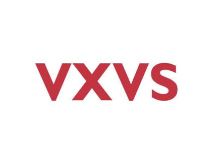 VXVS