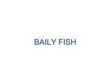 baily fish