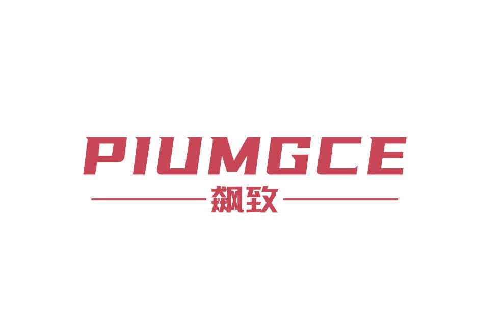 PIUMGCE 飆致