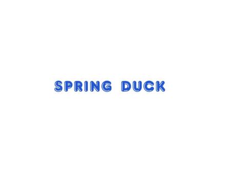 SPRINGDUCK