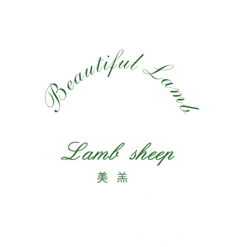 美羔 LAMB SHEEP BEAUTIFUL LAMB