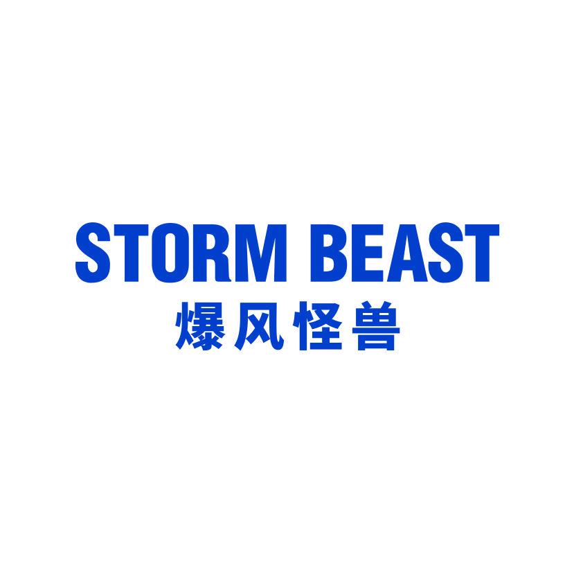 爆風(fēng)怪獸
STORM BEAST