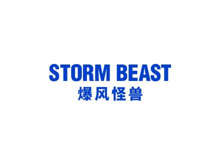 爆風怪獸
STORM BEAST