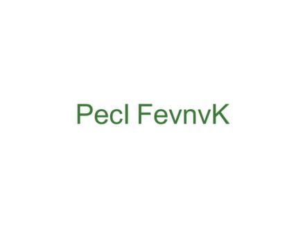 PECL FEVNVK（大嘴猴英文）