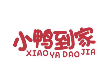 小鴨到家