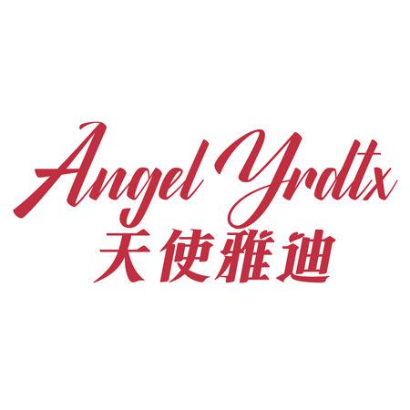 ANGEL YRDTX 天使雅迪