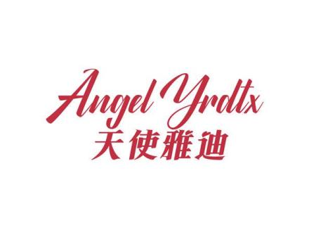 ANGEL YRDTX 天使雅迪