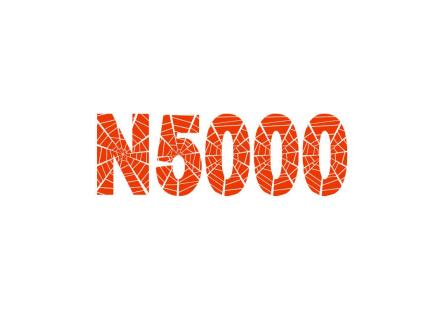 N5000