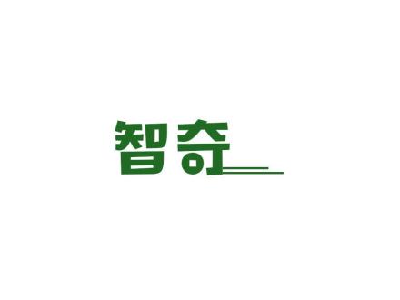 智奇