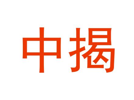 中揭