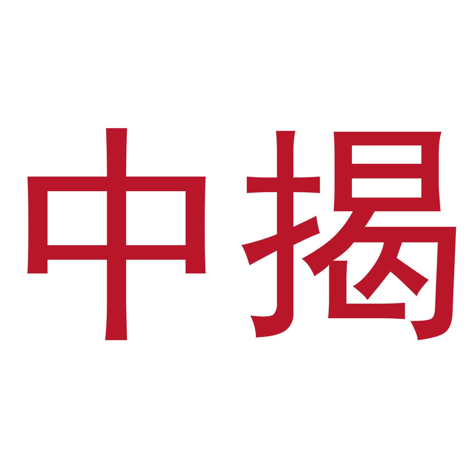 中揭