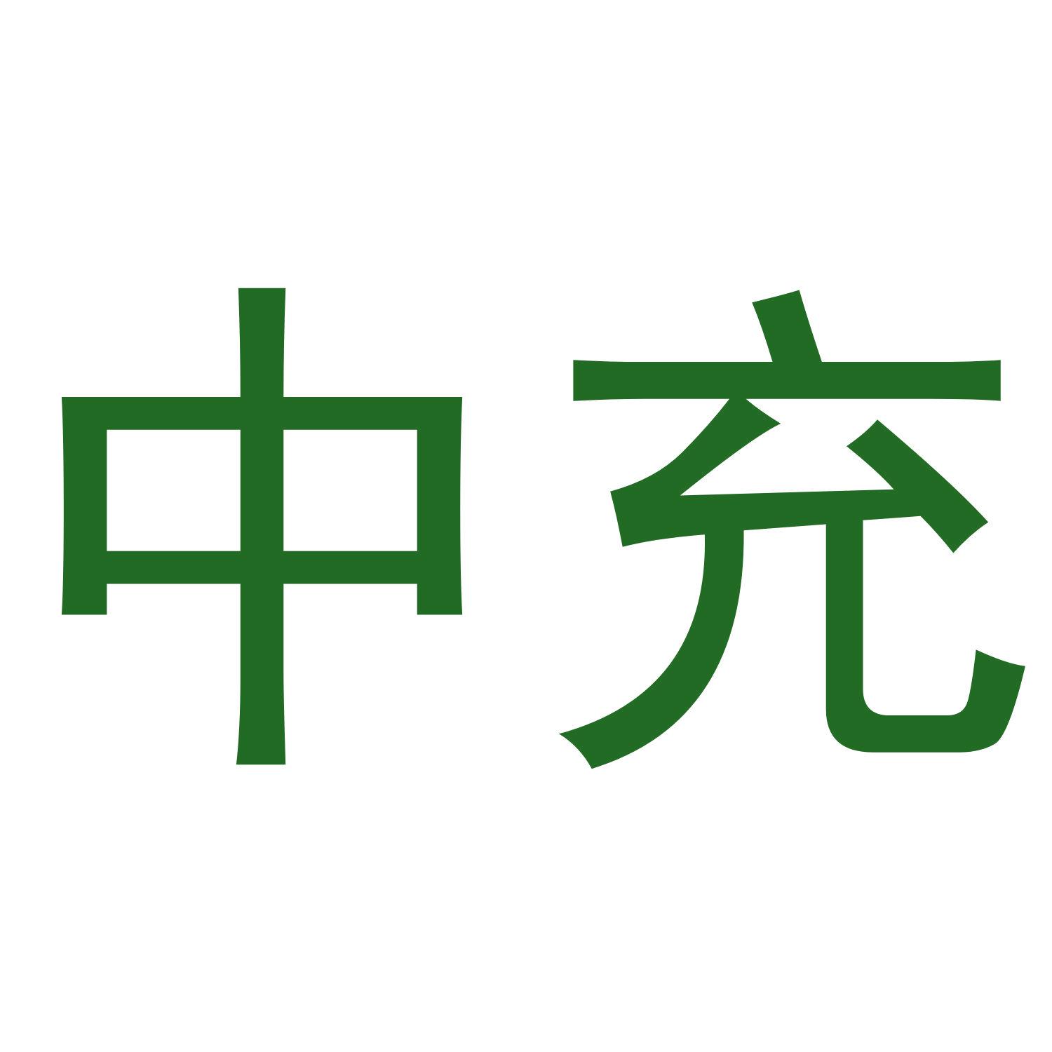 中充