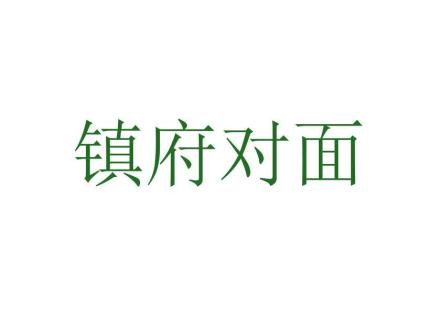 鎮(zhèn)府對(duì)面