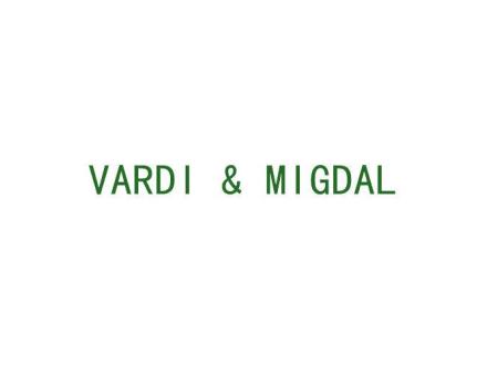 VARDI & MIGDAL