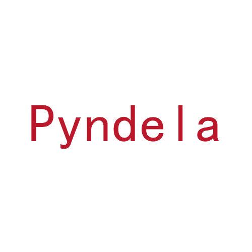 *YNDELA