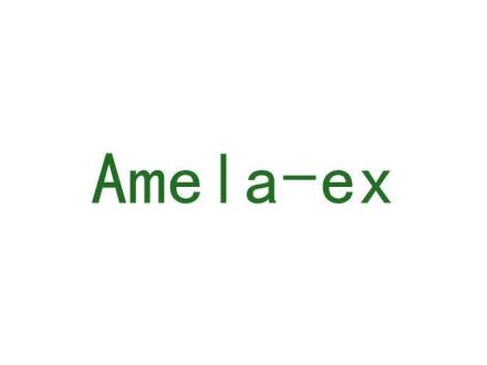 AMELAEX