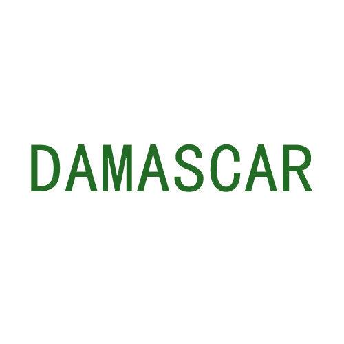*AMASCAR