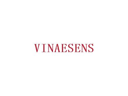 VINAESENS