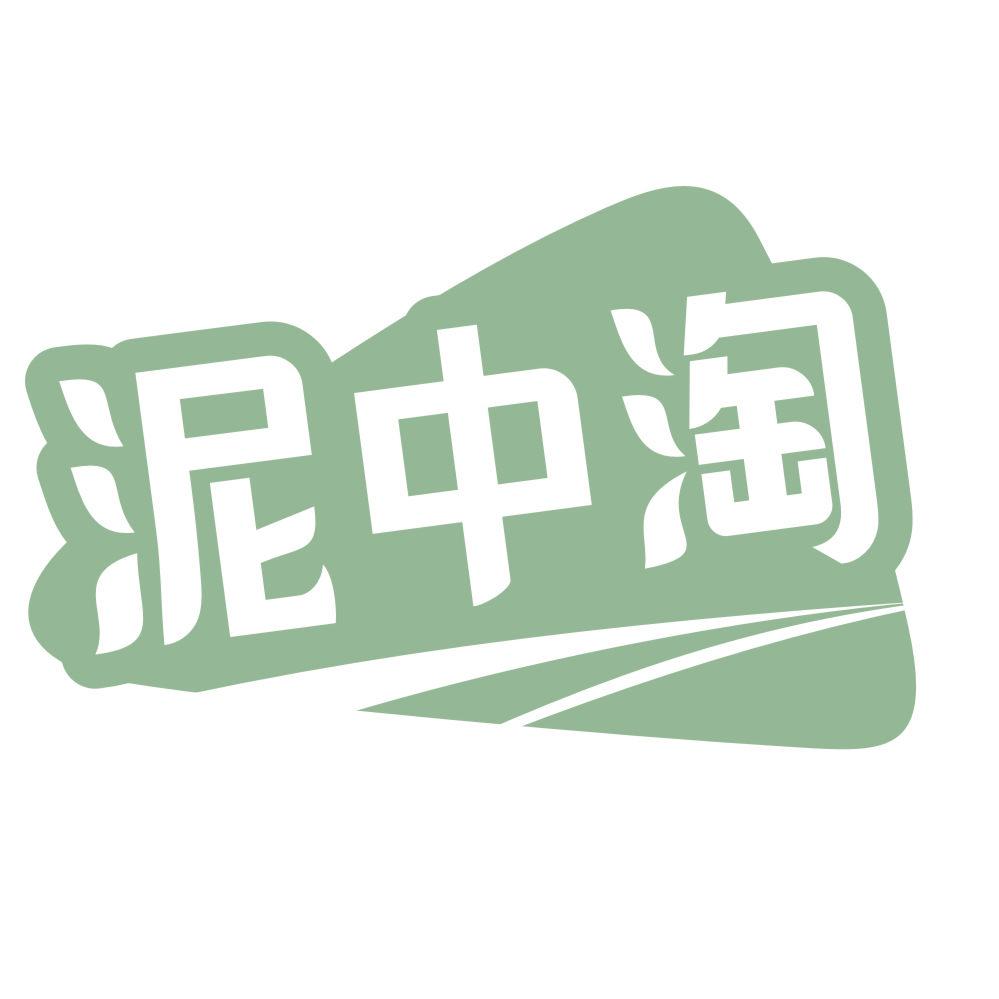 *中淘